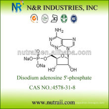 Sel disodique d&#39;adénosine 5&#39;-monophosphate